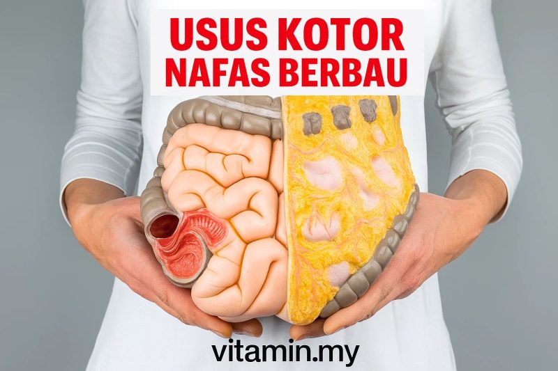 Usus Kotor, Nafas Berbau: Membongkar Kaitan Mengejutkan Antara Perut dan Mulut Anda