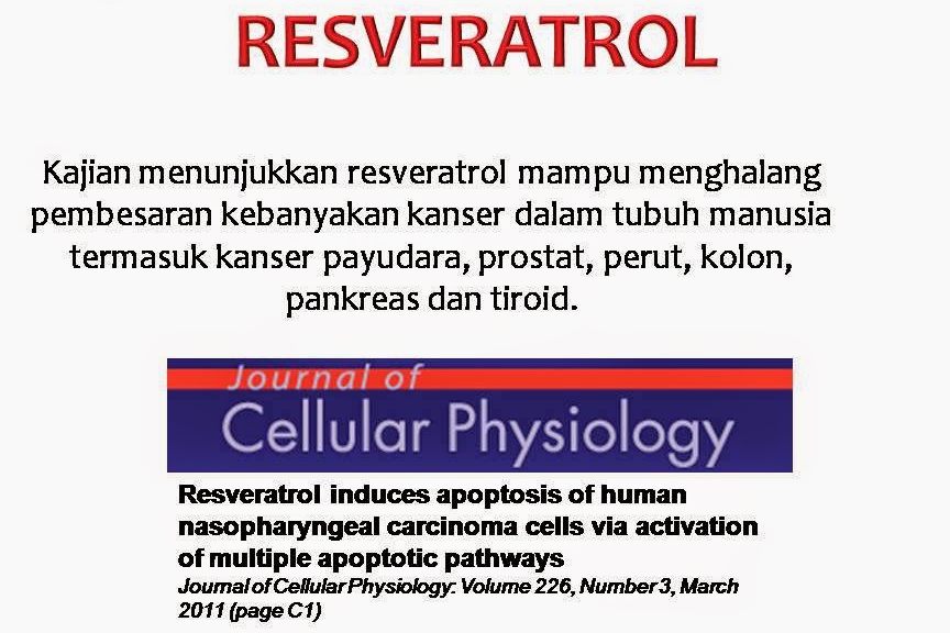 resveratrol kanser