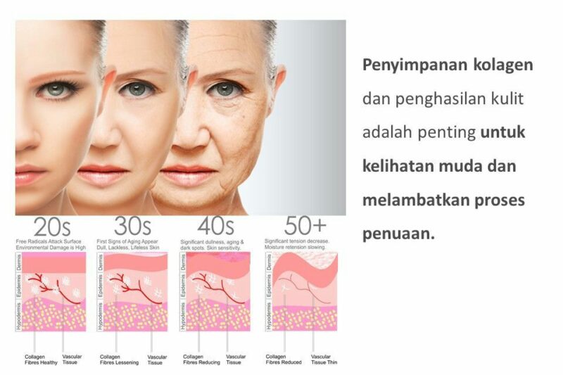 Kolagen Seawal 25 Tahun ? Wanita Kena Mula Lindungi Aset Kecantikan Anda Dari Sekarang