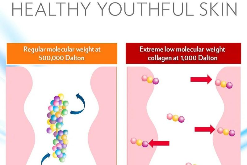 Saiz Molekul Kolagen – Penentu Keberkesanan Kolagen