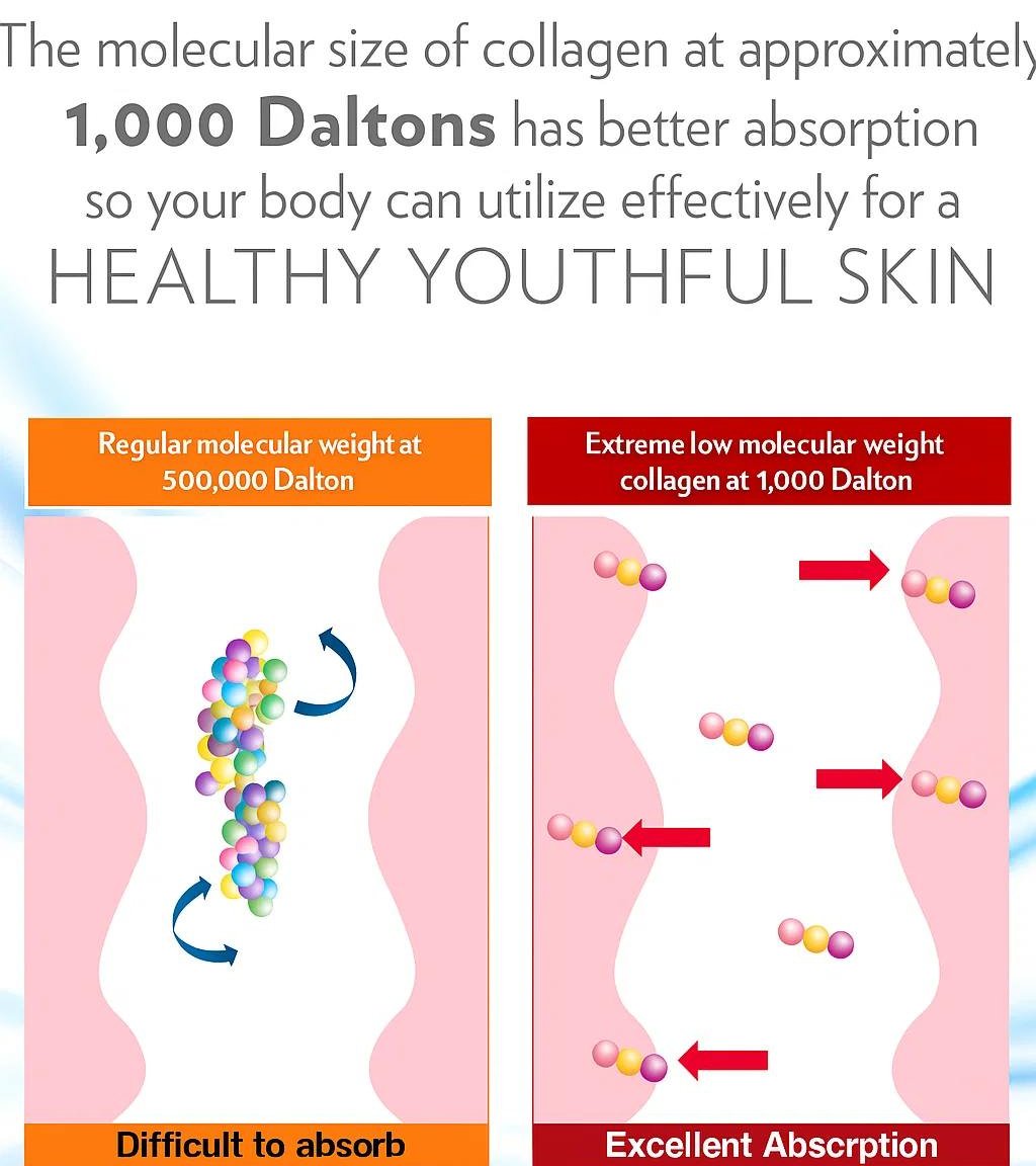 saiz molekul penting